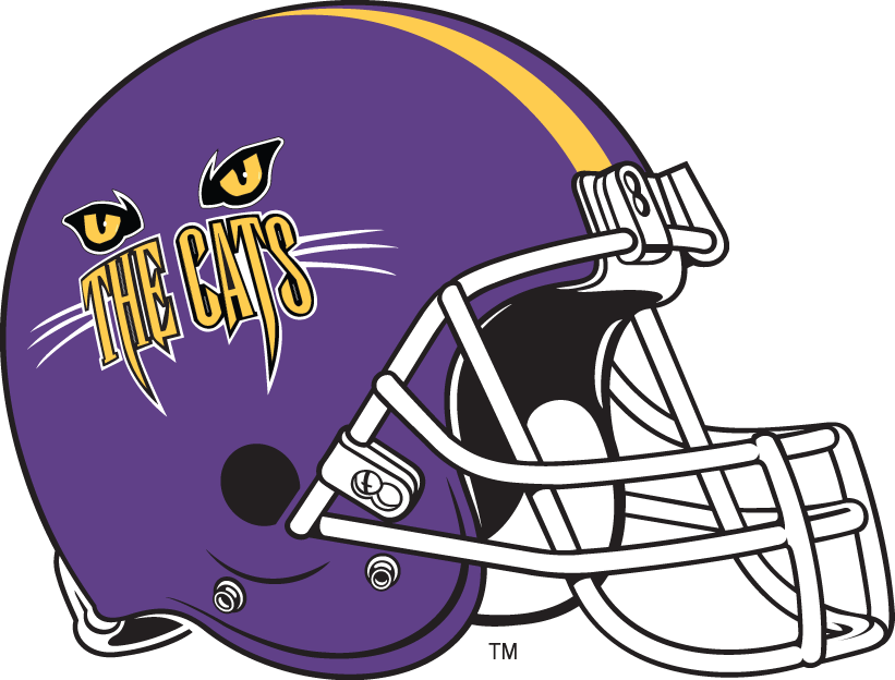 Western Carolina Catamounts 1996-2007 Helmet Logo diy fabric transfer